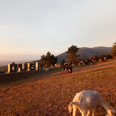 Casa Do Pastor * Lousã