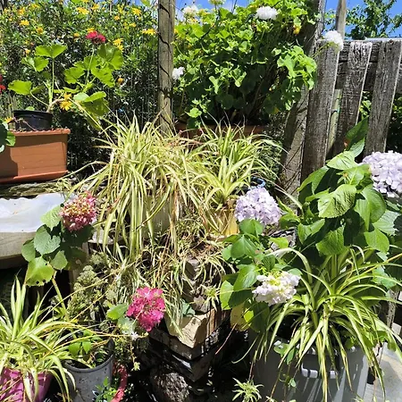 Casa Do Pastor Casa de Férias Lousã