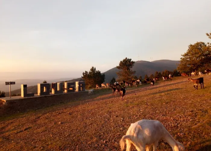 Casa Do Pastor * Lousã