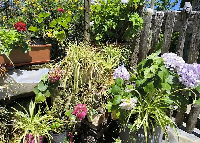 Casa Do Pastor Casa vacanze Lousã